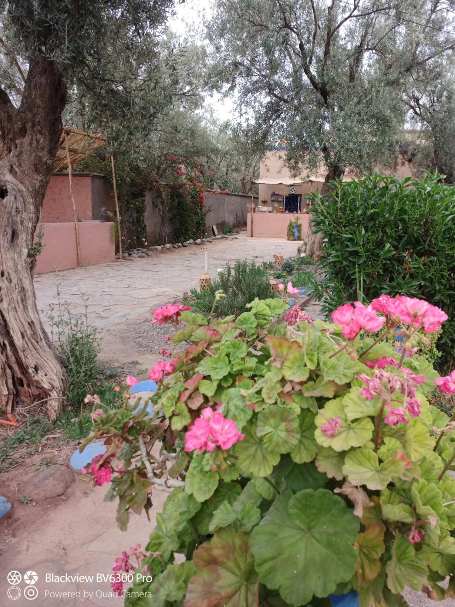 Les Delices D Aya Apartment Tahanaout Exterior photo